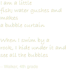 I am a little
fish; water gushes and makes
a bubble curtain When I swim by a
rock, I hide under it and
see all the bubbles – Walker, 4th grade 