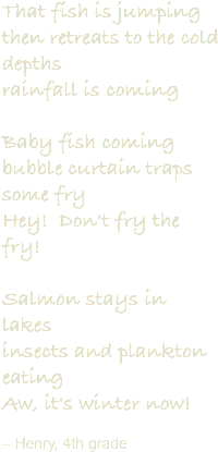 That fish is jumping
then retreats to the cold depths
rainfall is coming Baby fish coming
bubble curtain traps some fry
Hey! Don't fry the fry! Salmon stays in lakes
insects and plankton eating
Aw, it's winter now! – Henry, 4th grade