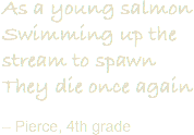 As a young salmon
Swimming up the stream to spawn
They die once again – Pierce, 4th grade