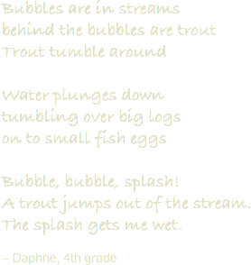 Bubbles are in streams
behind the bubbles are trout
Trout tumble around Water plunges down
tumbling over big logs
on to small fish eggs Bubble, bubble, splash!
A trout jumps out of the stream.
The splash gets me wet. – Daphne, 4th grade